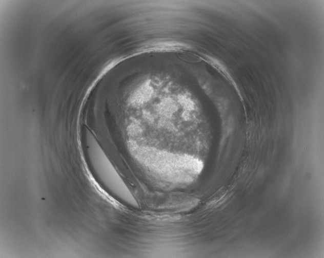 X0000078890851200612042048