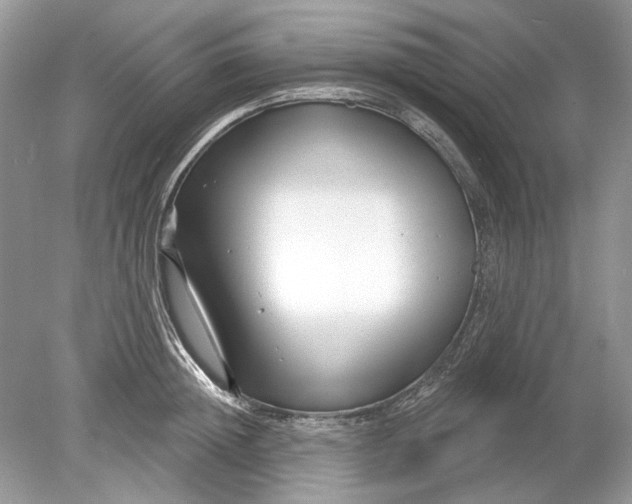 X0000078890852200612042048