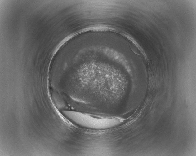 X0000078890853200612042048