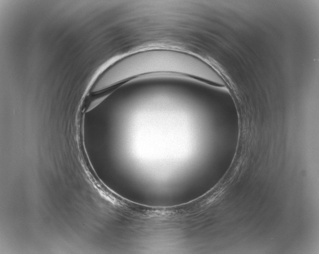 X0000078890854200612042048