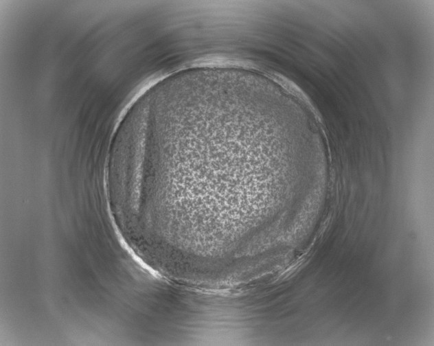 X0000078890855200612042048