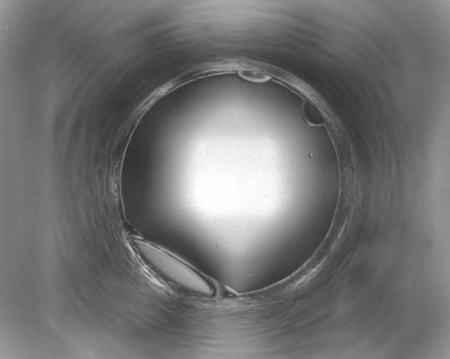 X0000078890857200612042048