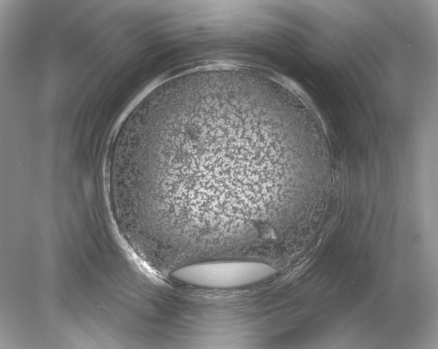 X0000078890859200612042048