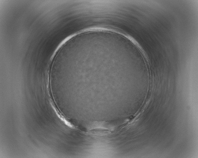 X0000078890862200612042048