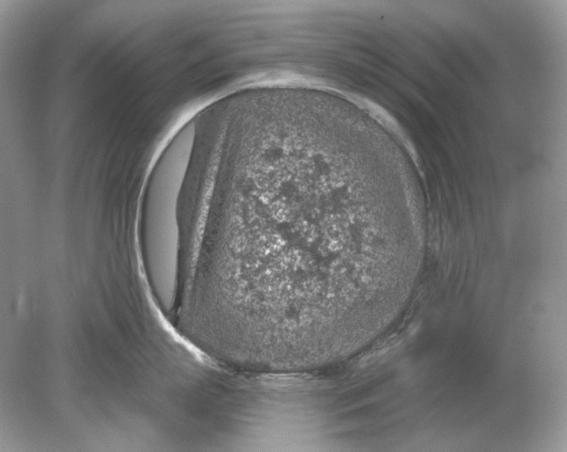 X0000078890863200612042048