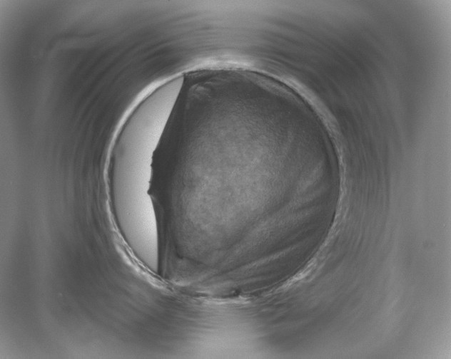 X0000078890864200612042048