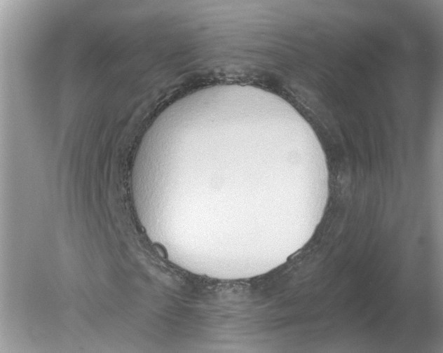 X0000078890865200612042047