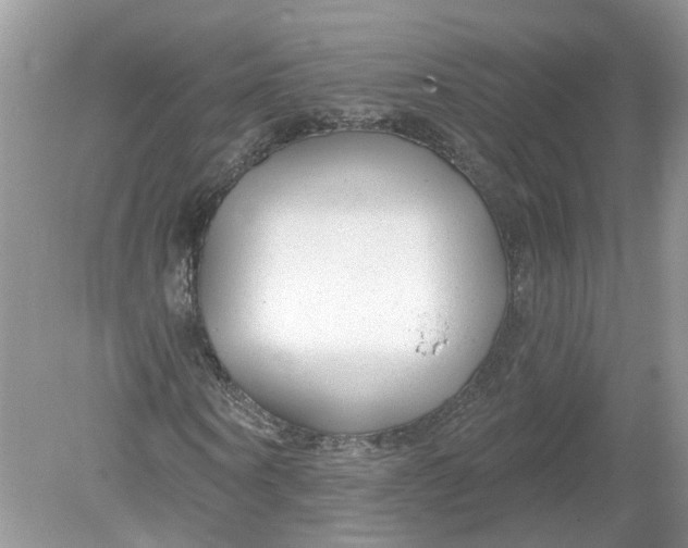 X0000078890866200612042047