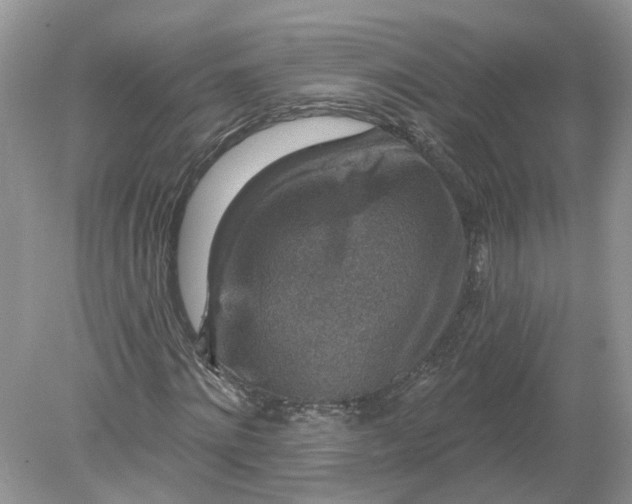 X0000078890868200612042047