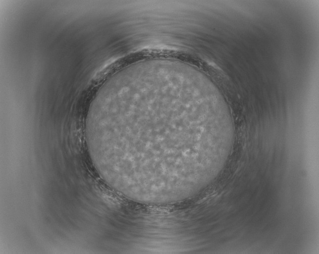 X0000078890870200612042047