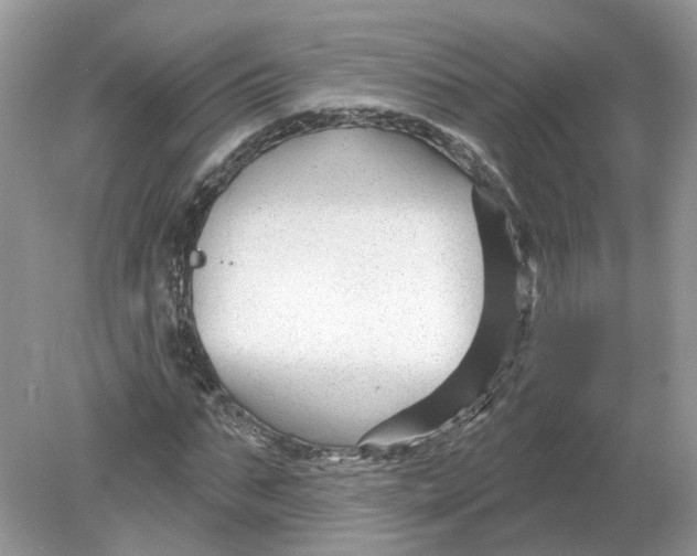 X0000078890871200612042047