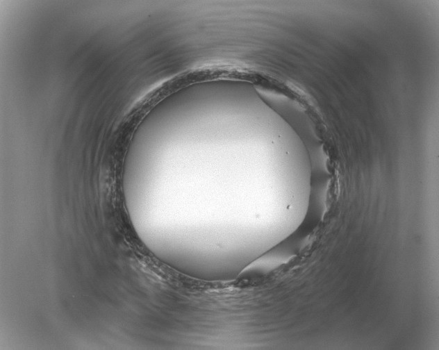 X0000078890872200612042047