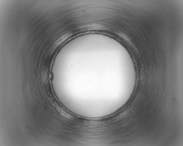 X0000078890873200612042047