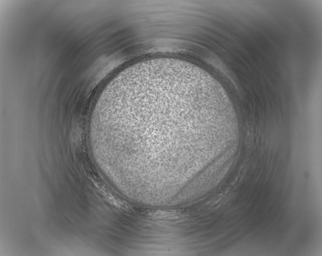 X0000078890874200612042047