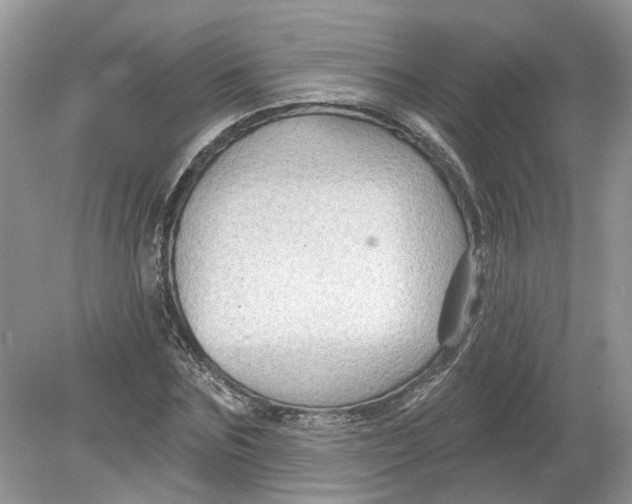 X0000078890875200612042047