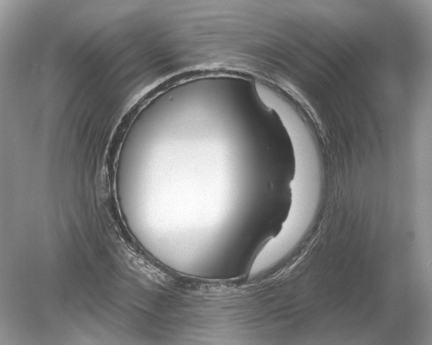 X0000078890876200612042047