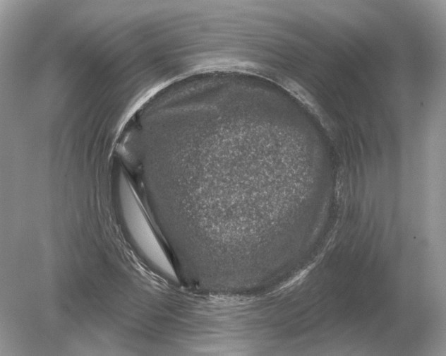 X0000078890877200612042047