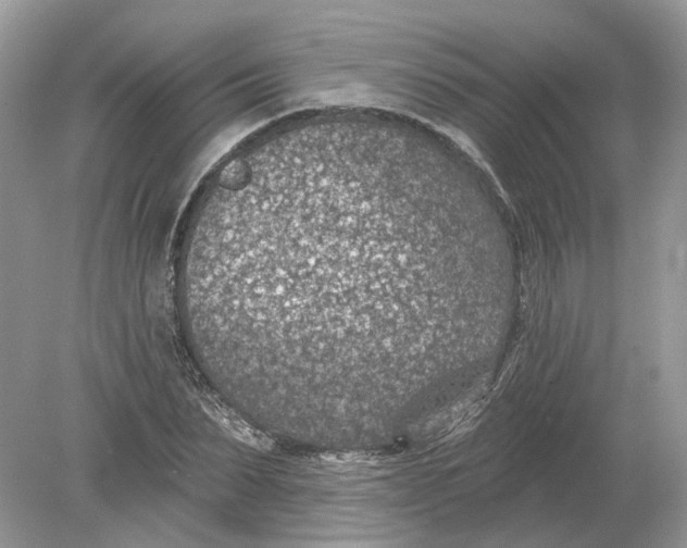 X0000078890879200612042047