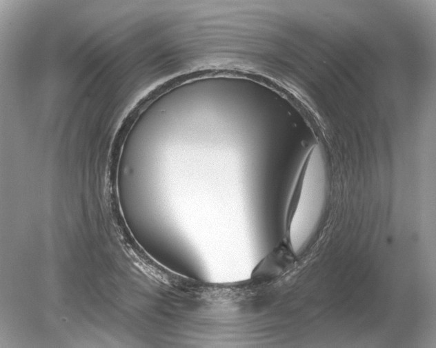 X0000078890880200612042047