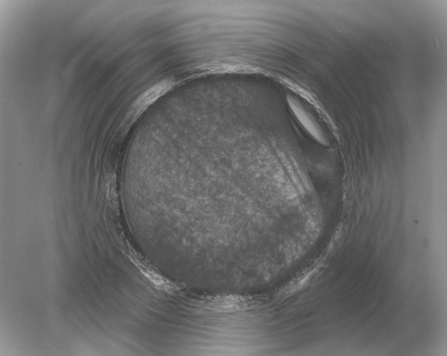 X0000078890881200612042047