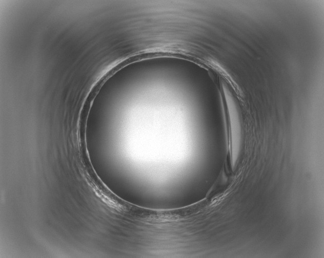 X0000078890884200612042047