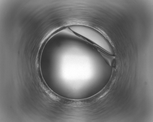 X0000078890885200612042047