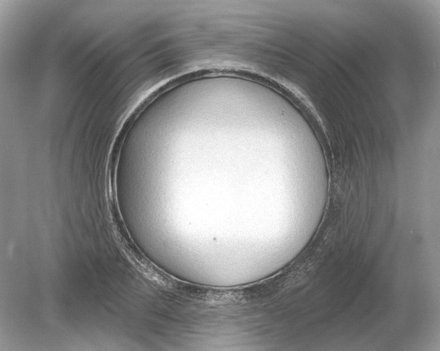 X0000078890887200612042047