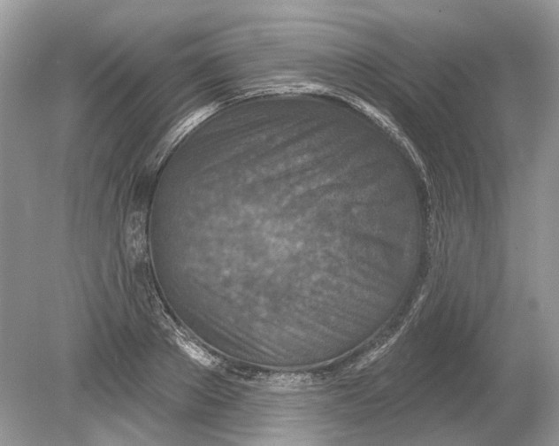 X0000078890889200612042047