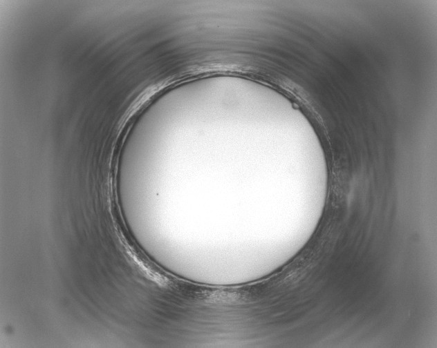 X0000078890890200612042047