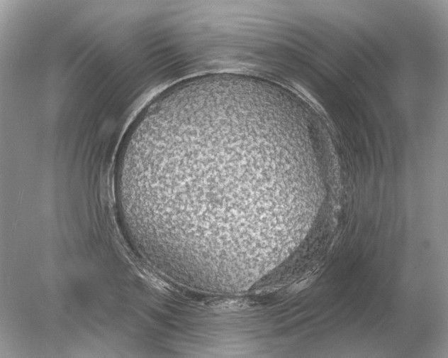 X0000078890891200612042047