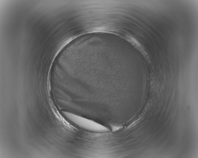 X0000078890892200612042047