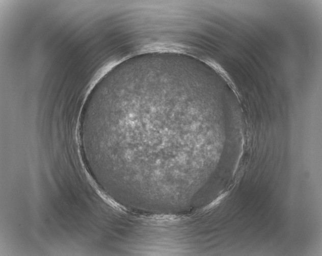 X0000078890893200612042047