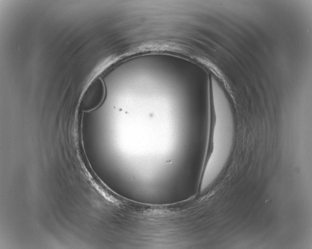 X0000078890894200612042047