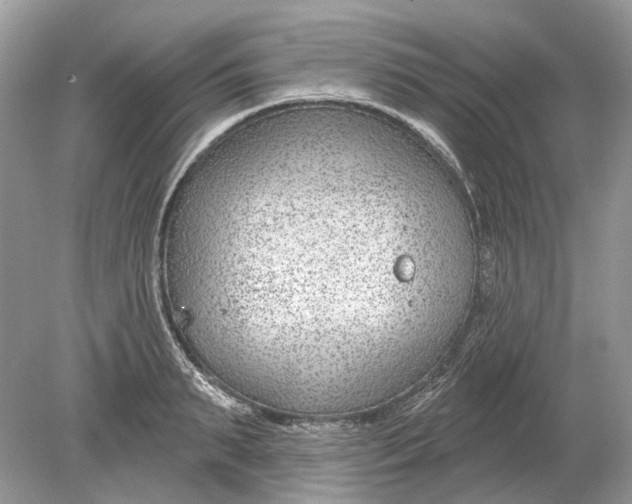 X0000078890895200612042047