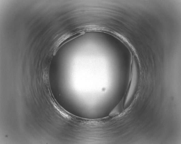 X0000078890897200612042047