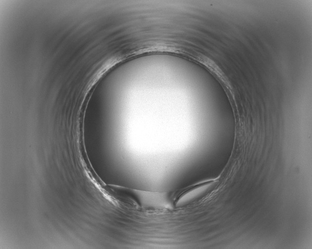 X0000078890898200612042047