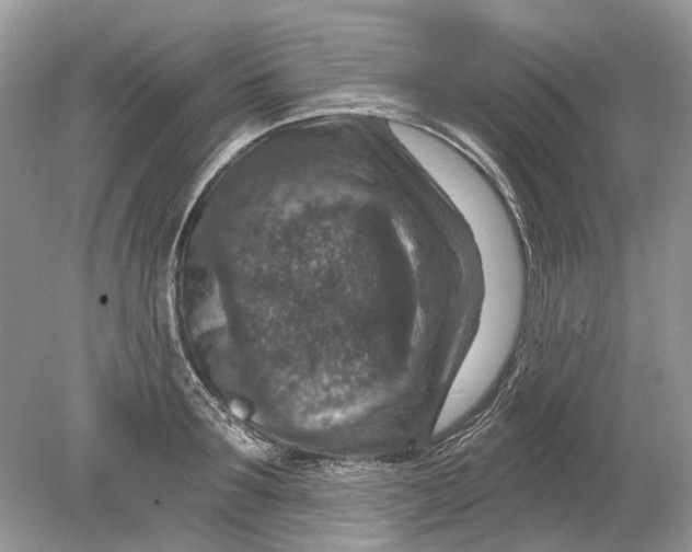 X0000078890899200612042047