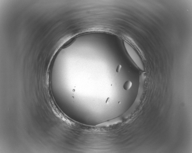 X0000078890900200612042047