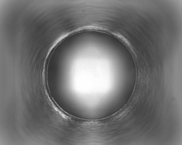 X0000078890902200612042047