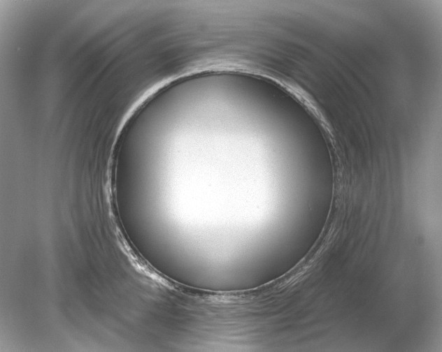 X0000078890904200612042047