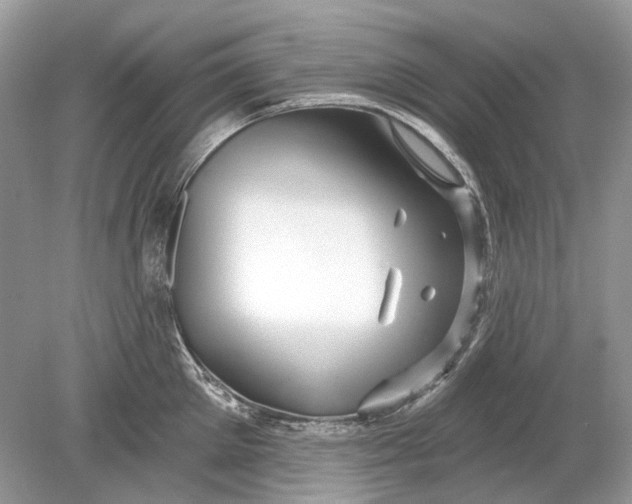 X0000078890905200612042047