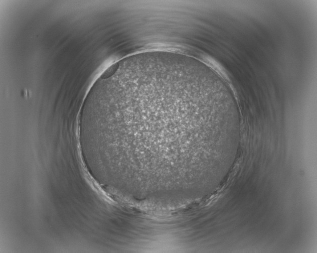 X0000078890907200612042047