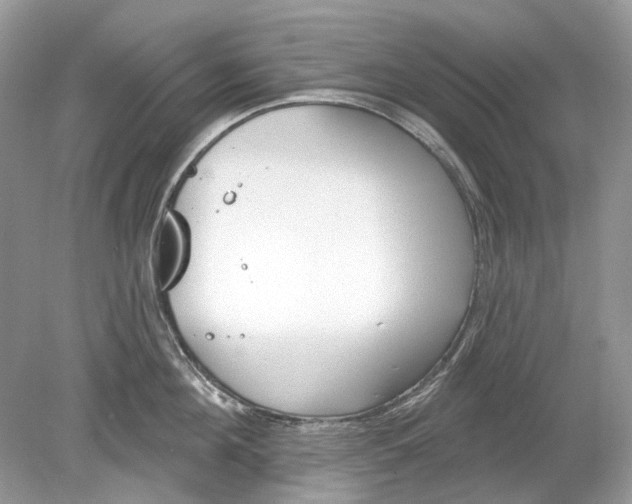 X0000078890908200612042047