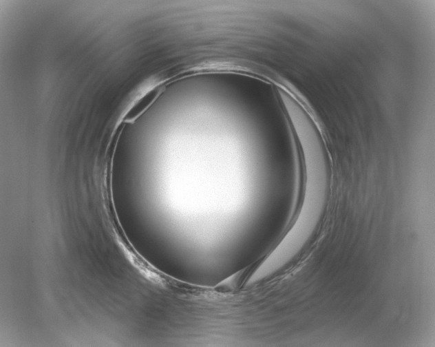 X0000078890909200612042047