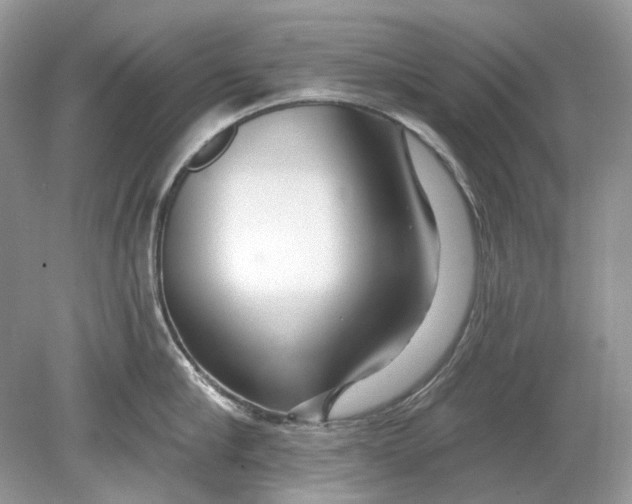 X0000078890910200612042047