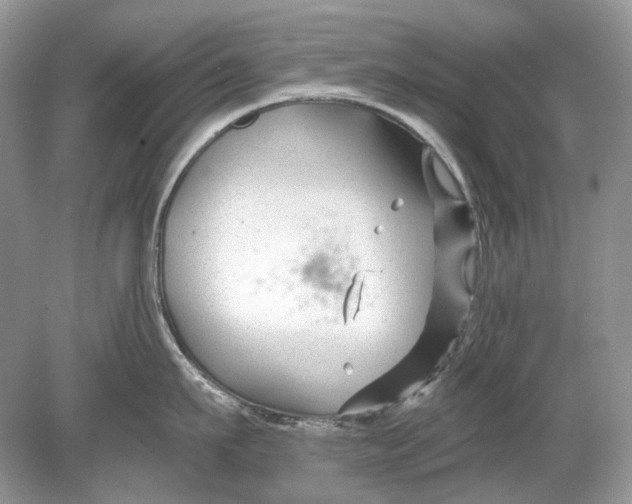 X0000078890911200612042047