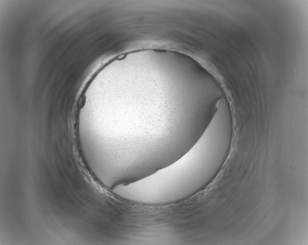 X0000078890912200612042047