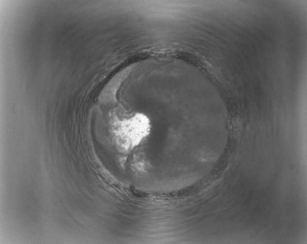 X0000078890913200612042046