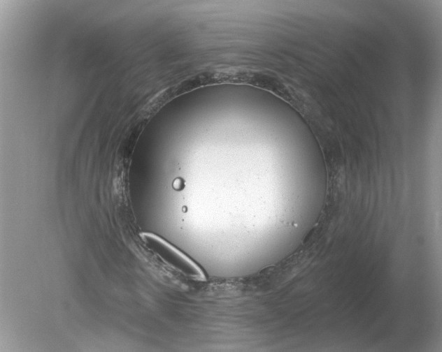 X0000078890914200612042046