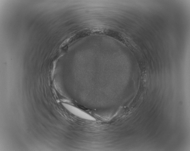 X0000078890916200612042046